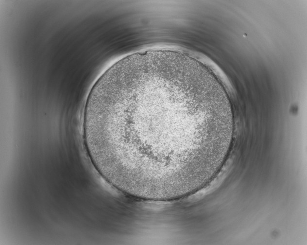 X0000101970860200808151336