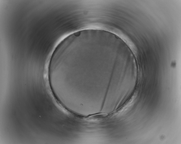X0000101970862200808151336