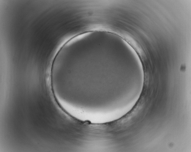 X0000101970863200808151336