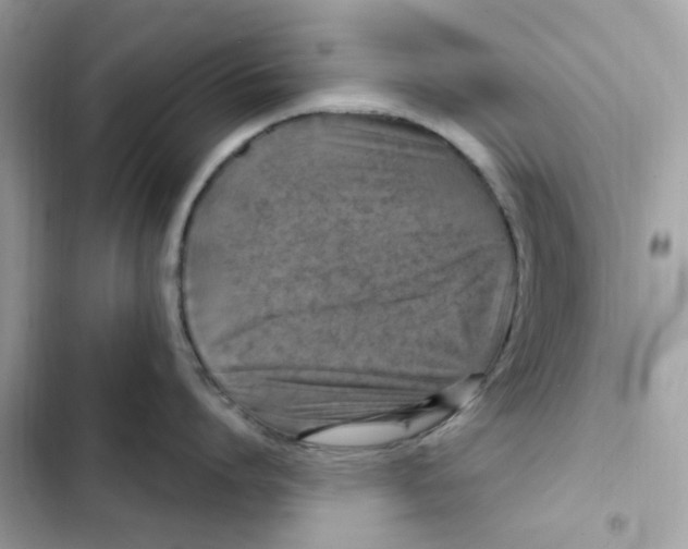 X0000101970864200808151336