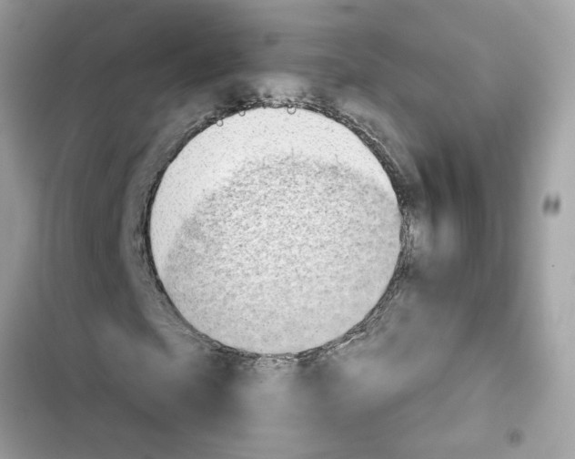 X0000101970865200808151335