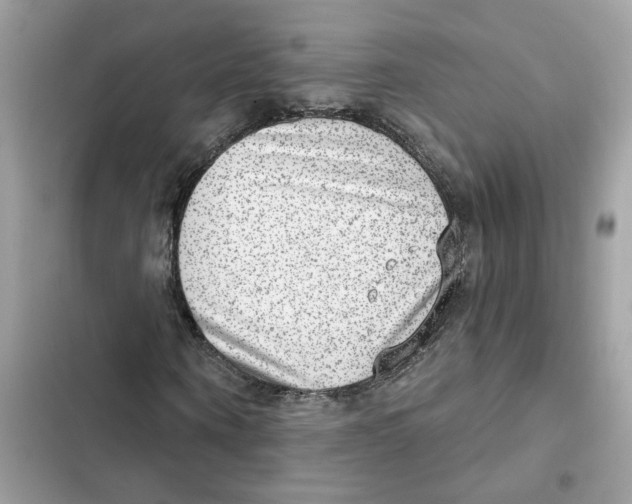 X0000101970866200808151335
