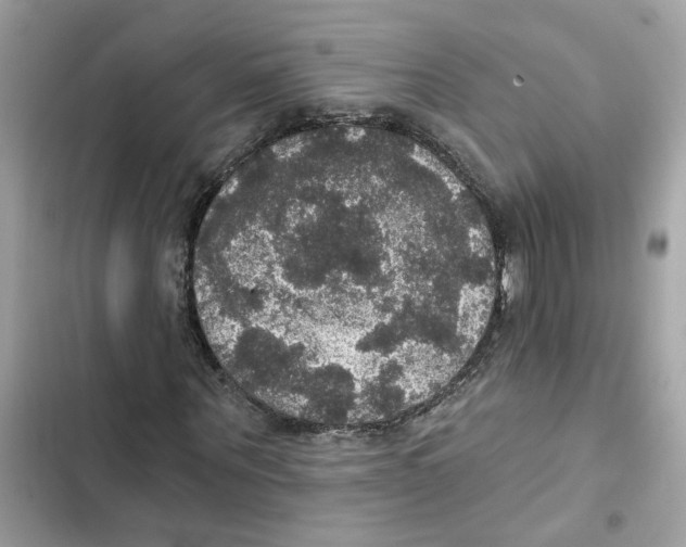 X0000101970867200808151335