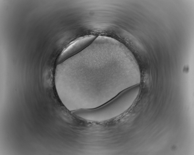 X0000101970868200808151335