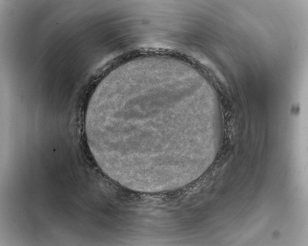 X0000101970870200808151335