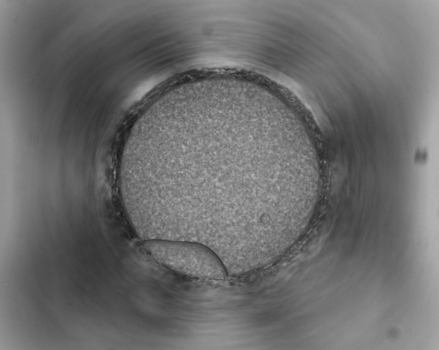 X0000101970871200808151335