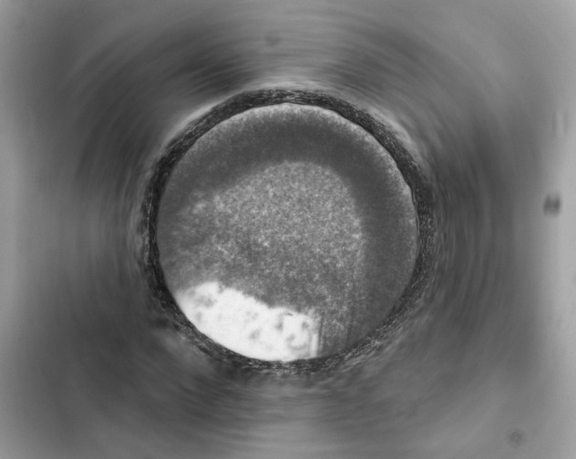 X0000101970872200808151335
