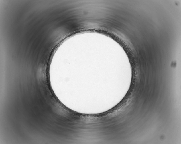 X0000101970873200808151335