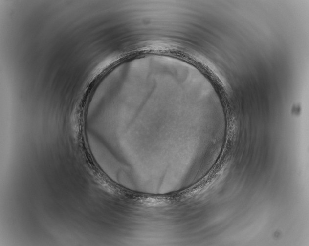 X0000101970874200808151335