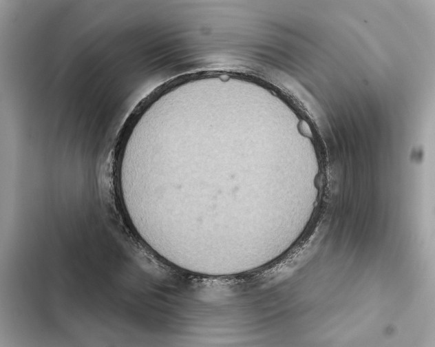 X0000101970875200808151335