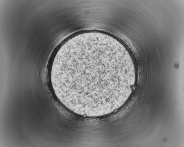 X0000101970876200808151335