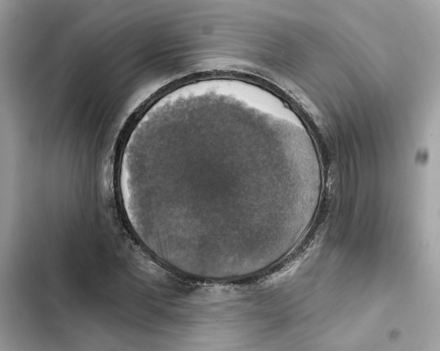 X0000101970877200808151335