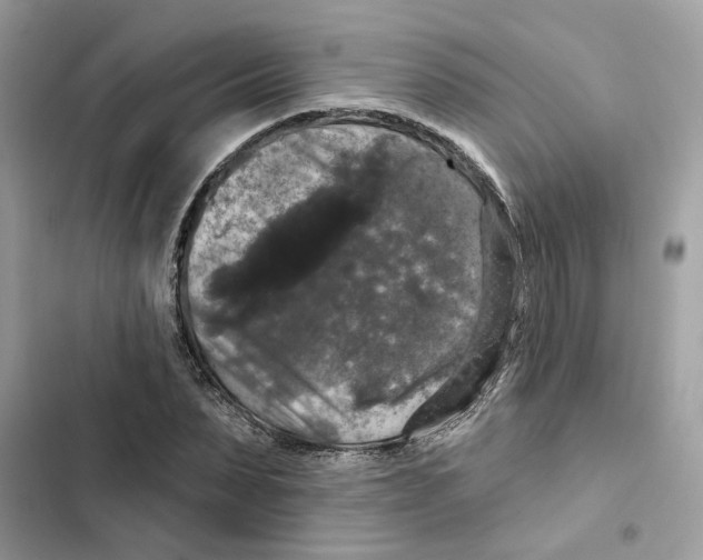 X0000101970879200808151335