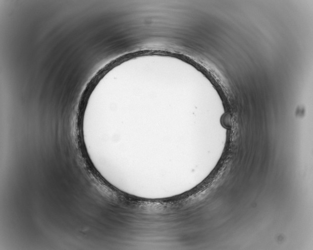 X0000101970880200808151335