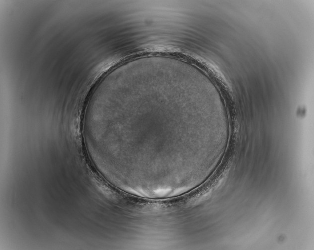 X0000101970881200808151335