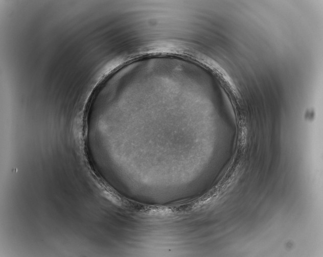 X0000101970882200808151335