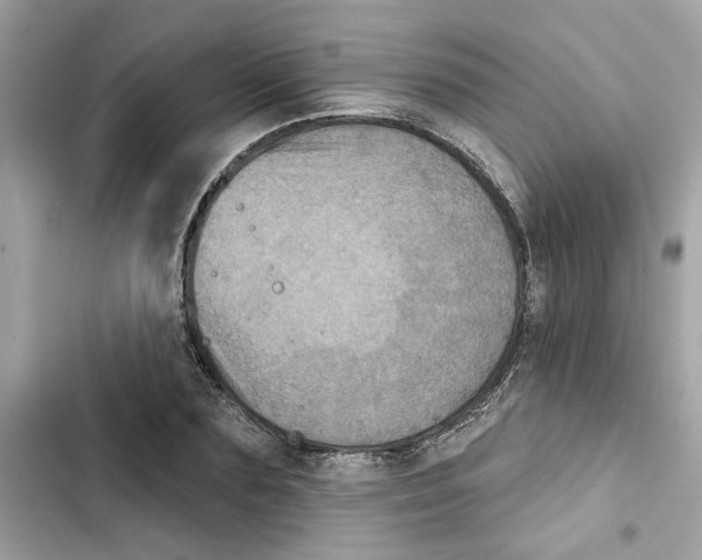X0000101970883200808151335