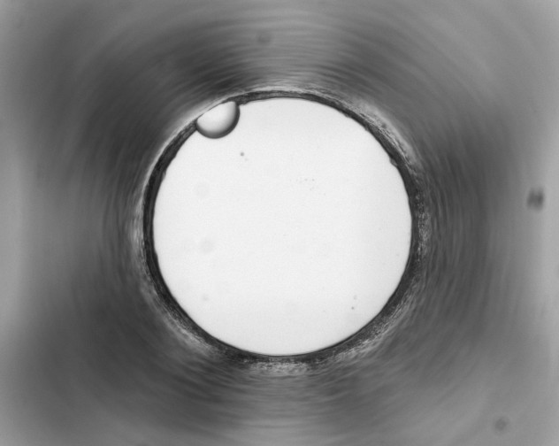 X0000101970884200808151335