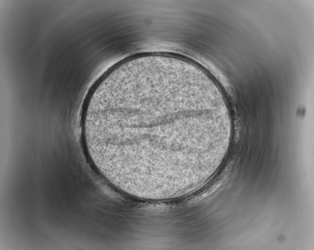 X0000101970885200808151335