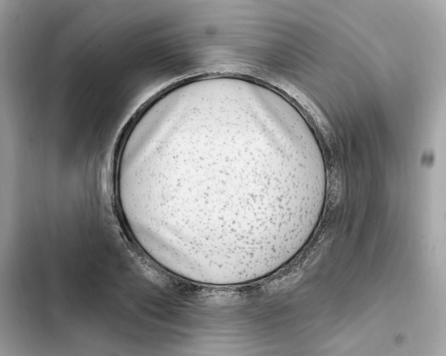 X0000101970886200808151335
