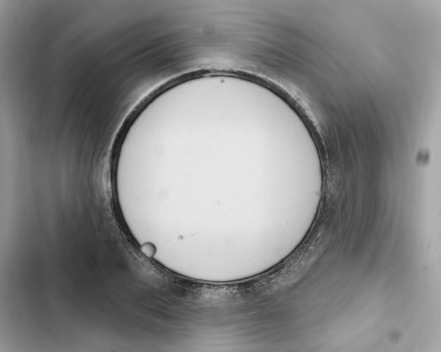 X0000101970887200808151335