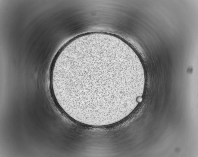 X0000101970888200808151335