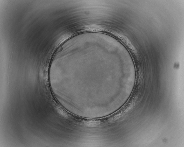 X0000101970889200808151335