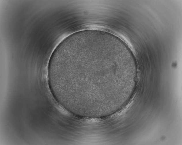 X0000101970891200808151335