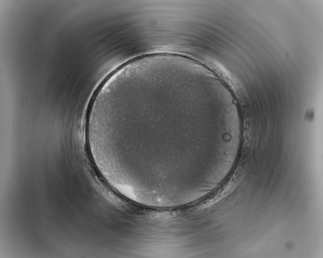 X0000101970892200808151335