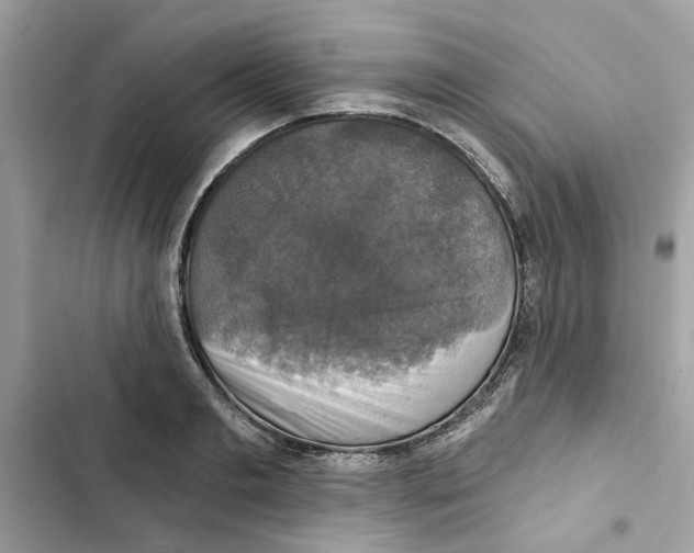 X0000101970893200808151335