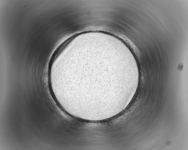 X0000101970894200808151335