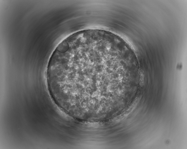 X0000101970895200808151335