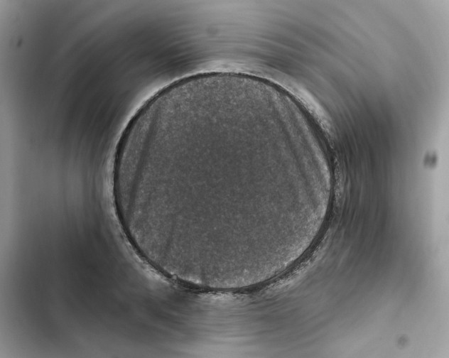 X0000101970896200808151335
