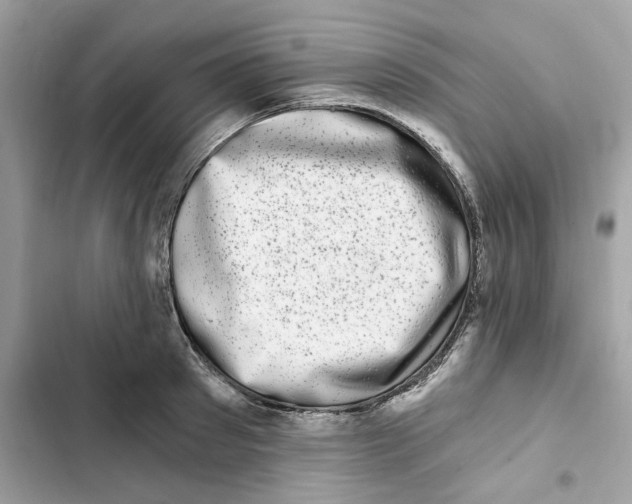 X0000101970897200808151335