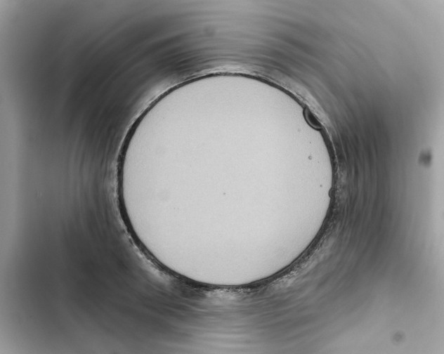 X0000101970898200808151335
