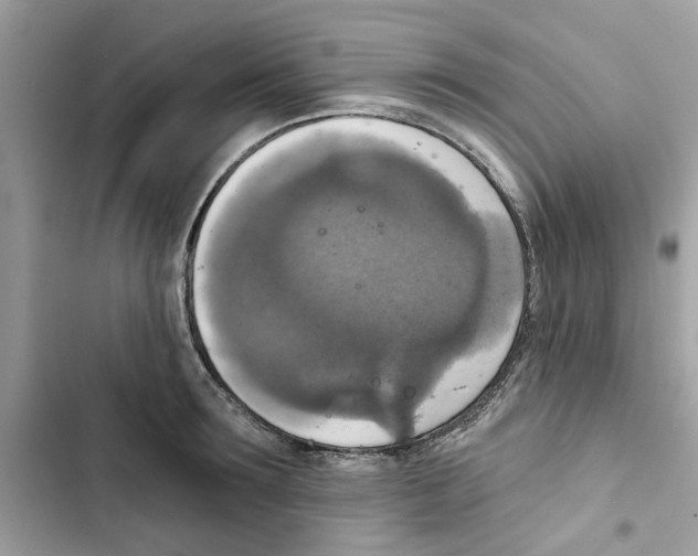X0000101970899200808151335
