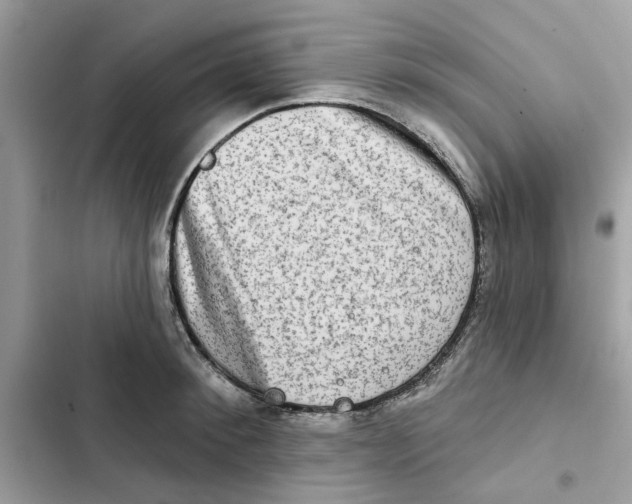 X0000101970900200808151335