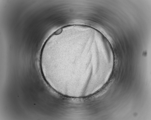 X0000101970901200808151335