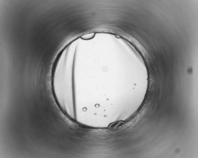 X0000101970902200808151335
