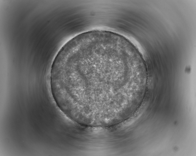 X0000101970903200808151335
