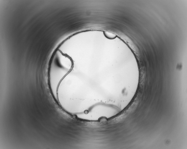 X0000101970904200808151335