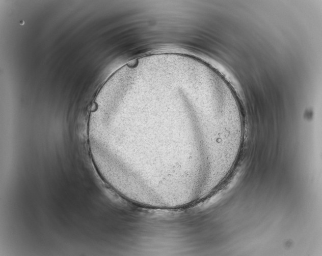 X0000101970905200808151335