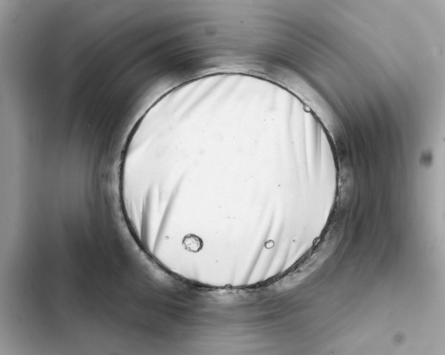 X0000101970906200808151335