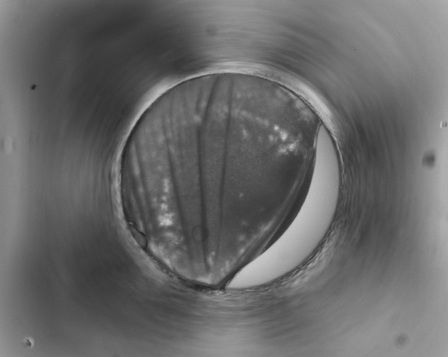 X0000101970907200808151335
