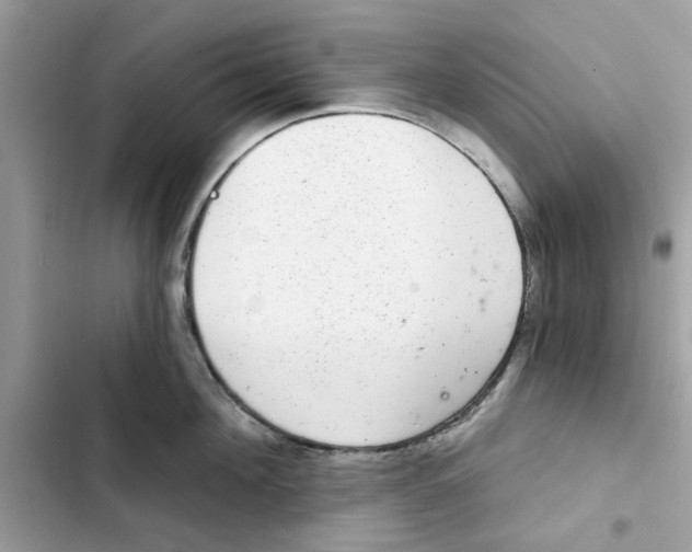 X0000101970908200808151335