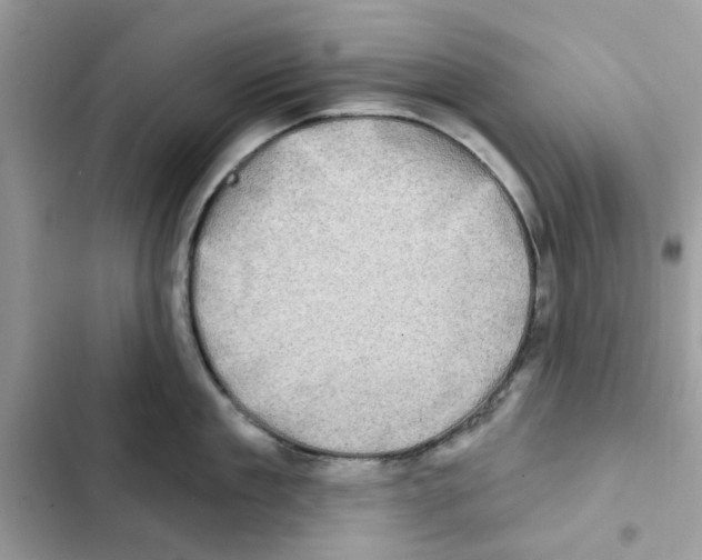 X0000101970909200808151335