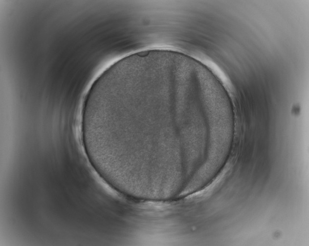 X0000101970910200808151335