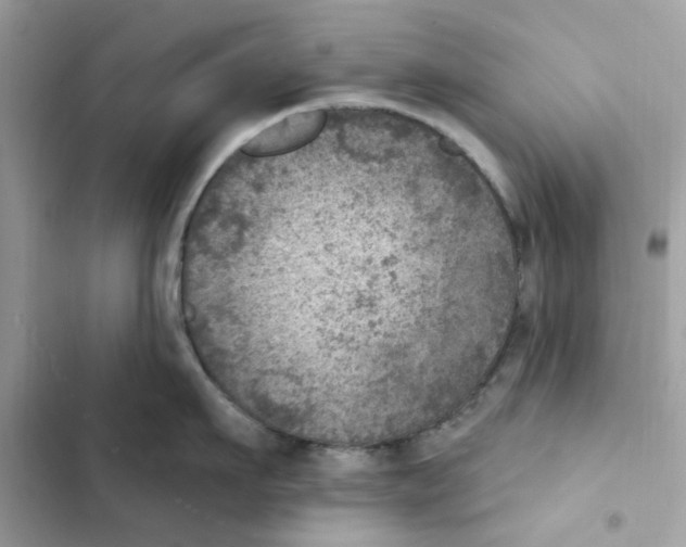 X0000101970911200808151335