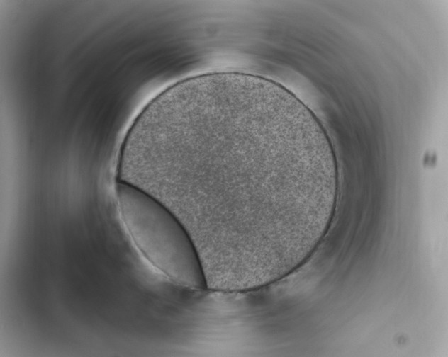 X0000101970912200808151335