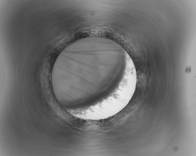 X0000101970913200808151334